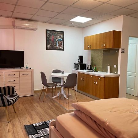 Panorama Studio Segesvár Kültér fotó