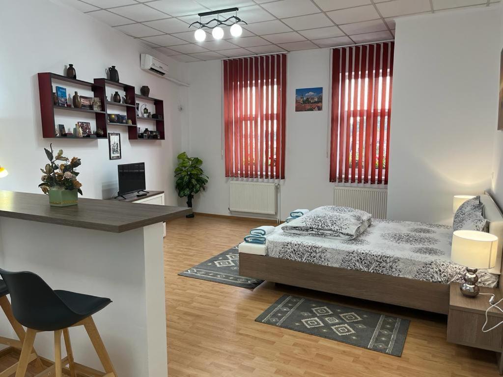 Panorama Studio Segesvár Kültér fotó