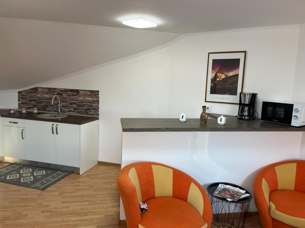 Panorama Studio Segesvár Kültér fotó
