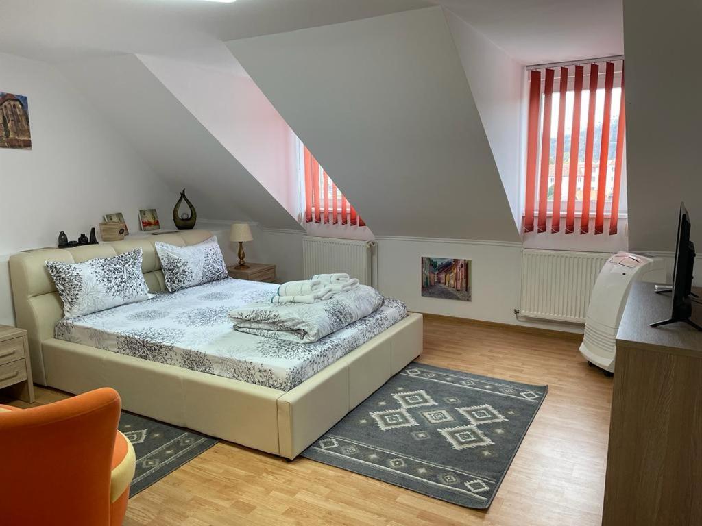 Panorama Studio Segesvár Kültér fotó