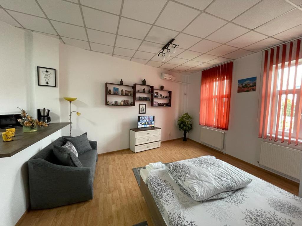 Panorama Studio Segesvár Kültér fotó