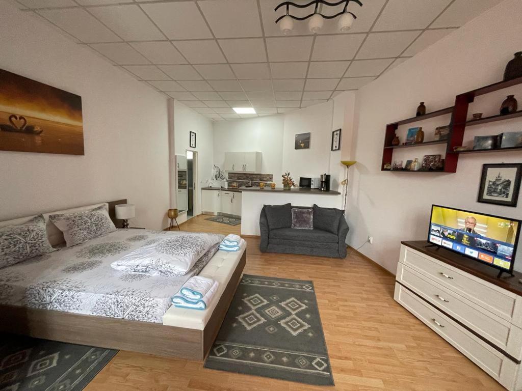Panorama Studio Segesvár Kültér fotó