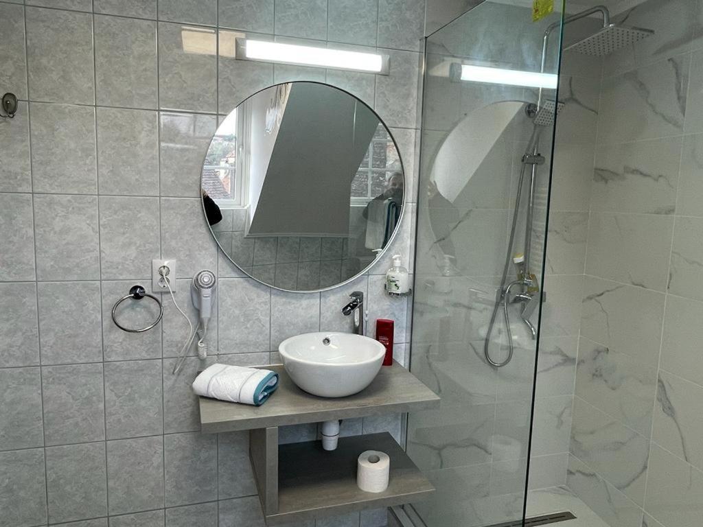 Panorama Studio Segesvár Kültér fotó