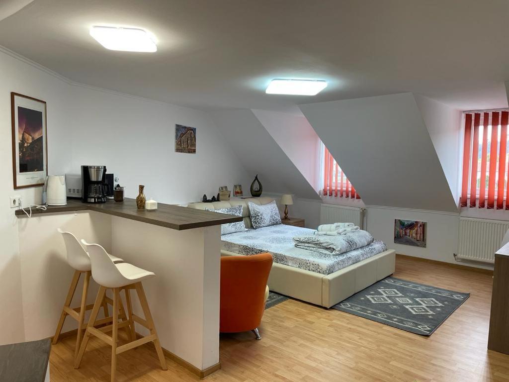 Panorama Studio Segesvár Kültér fotó